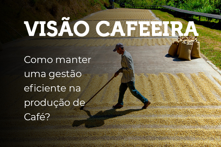 COMO MANTER UMA GESTÃO EFICIENTE NA PRODUÇÃO DE CAFÉ