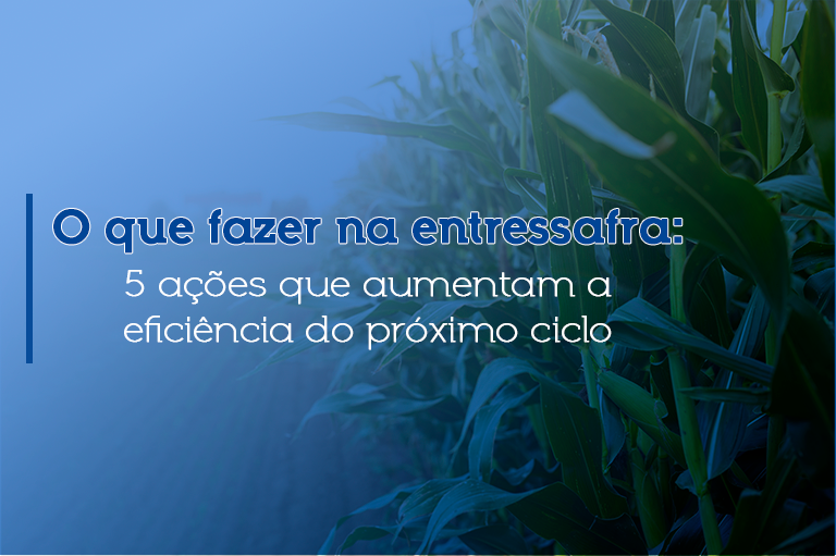O que fazer na entressafra: 5 ações que aumentam a eficiência do próximo ciclo