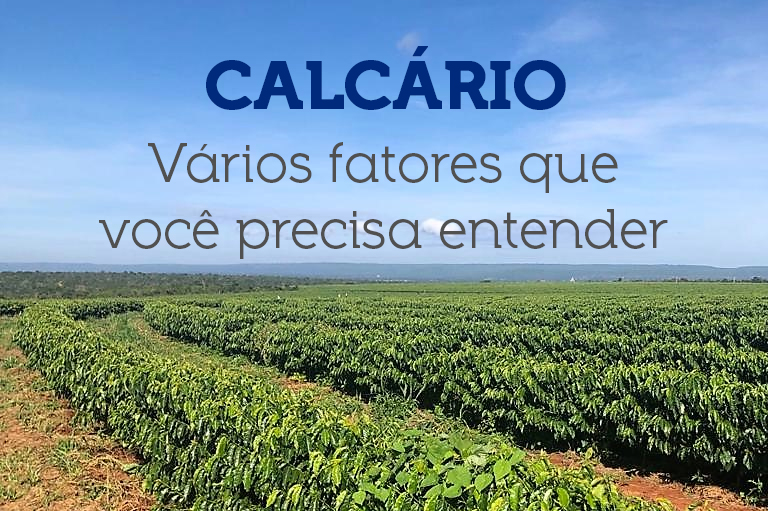 Calcário: vários fatores que você precisa entender