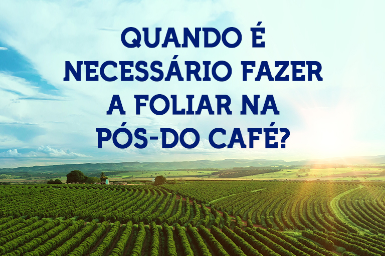 Quando é necessário fazer a foliar na pós-do café