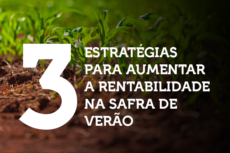 3 estratégias para aumentar a rentabilidade na safra de verão