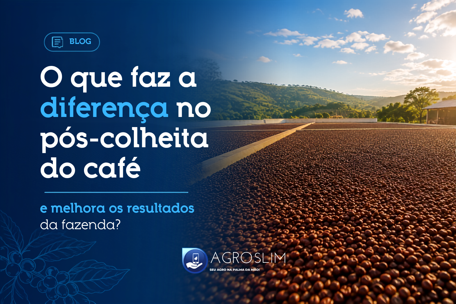 O que faz a diferença no pós-colheita do café e melhora os resultados da fazenda?